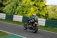 Evening_Low_Mid_Group